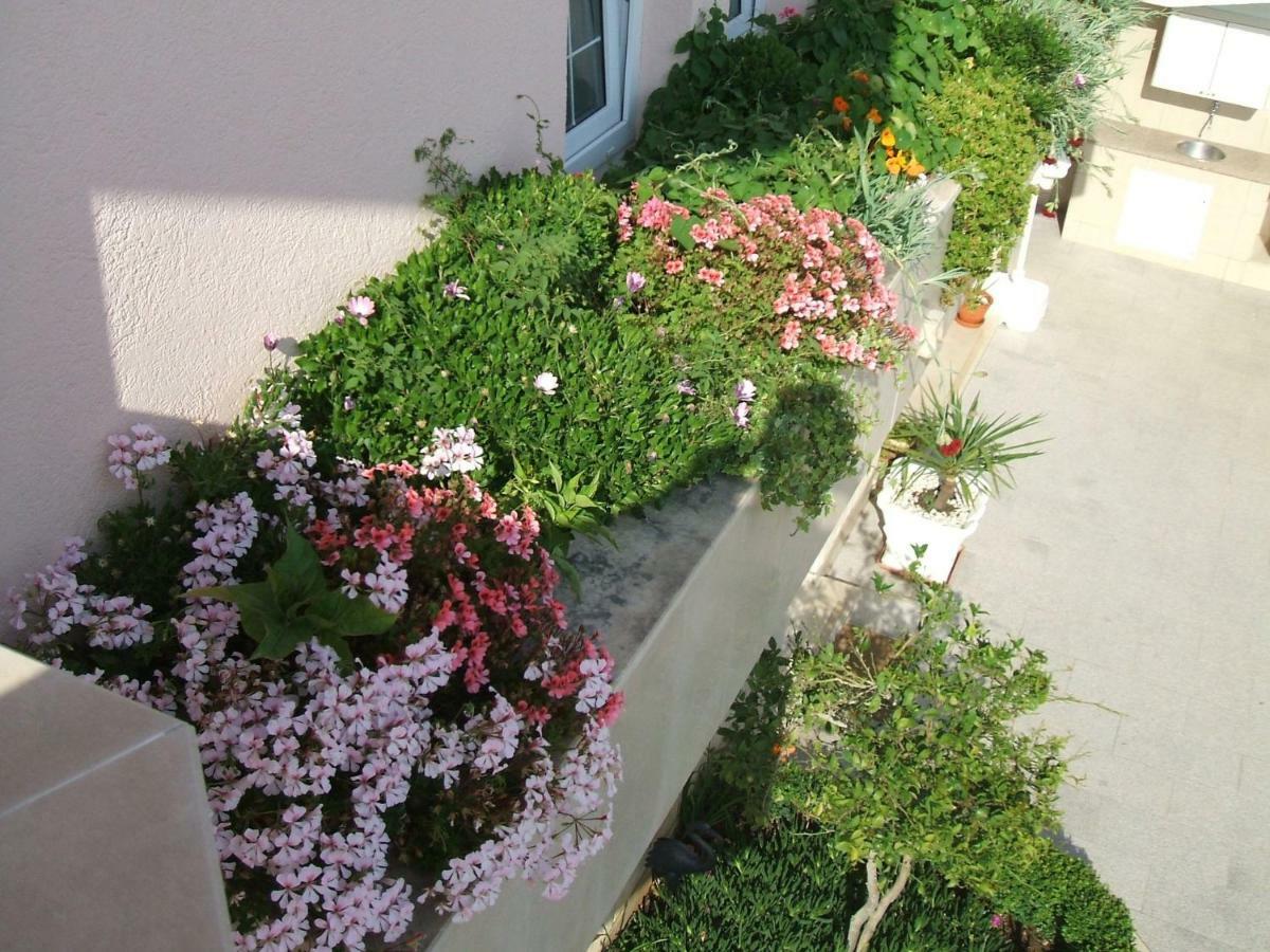 באסקה וודה House Bacak - Apartment & Wellness-Studio מראה חיצוני תמונה